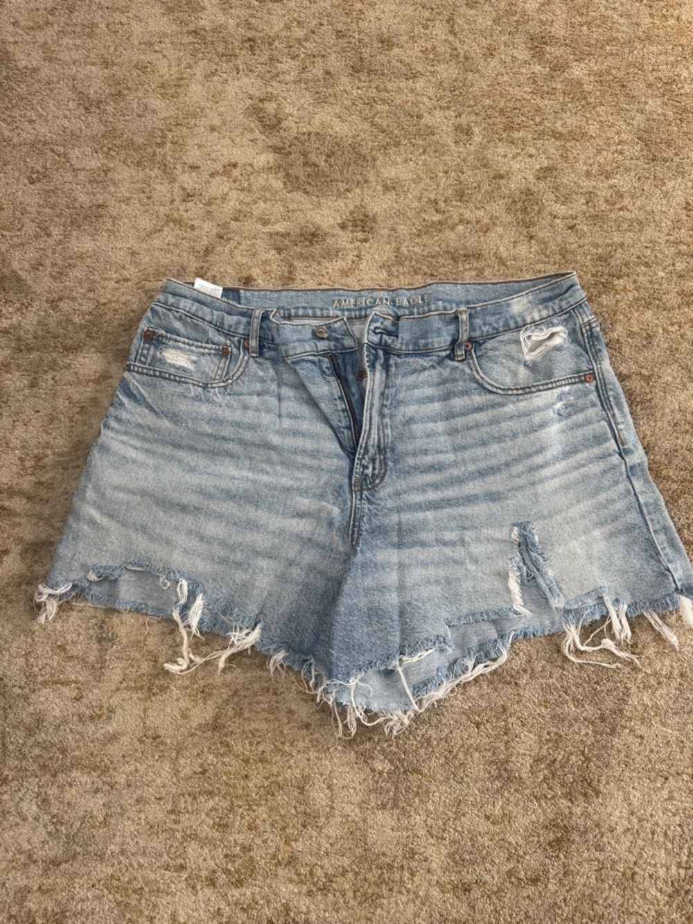 American Eagle Outfitters Light Wash Distressed Denim Shorts